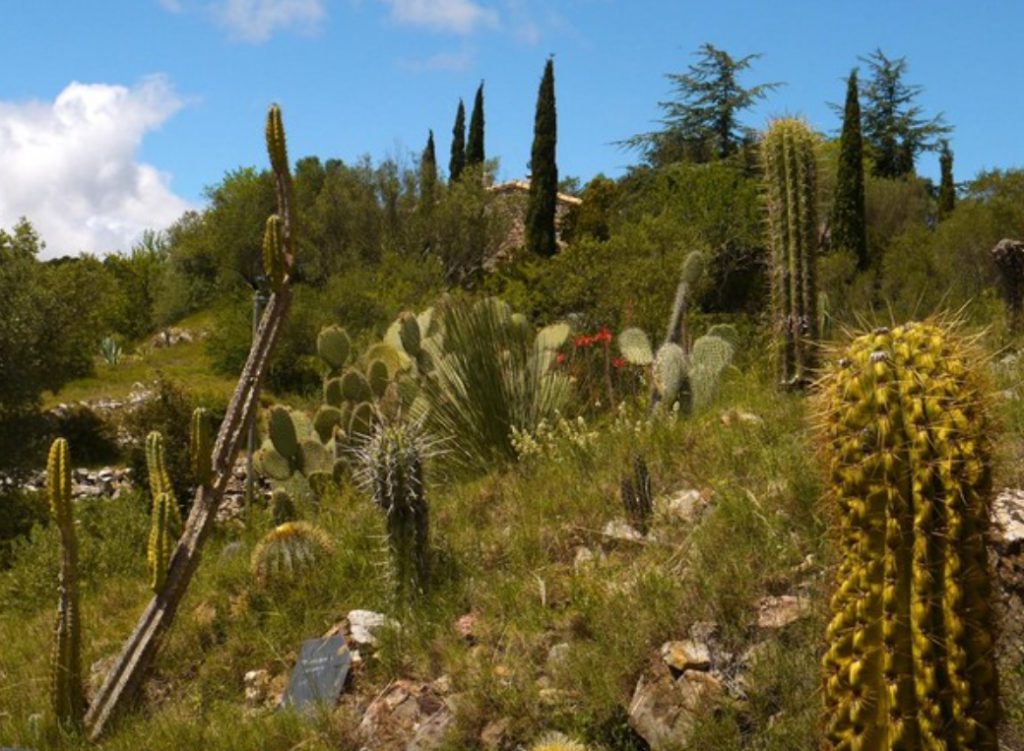 Une vue du jardin botanique de Foncaude à Limoux dans l'Aude