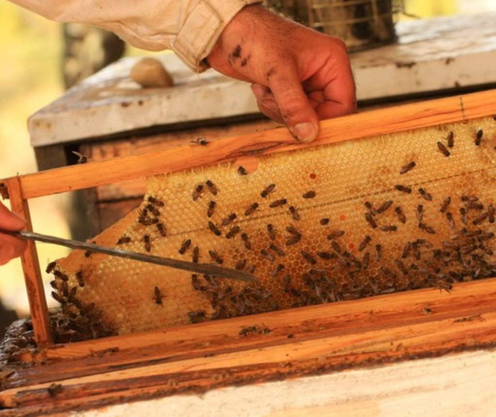 La Galerie des Clauses