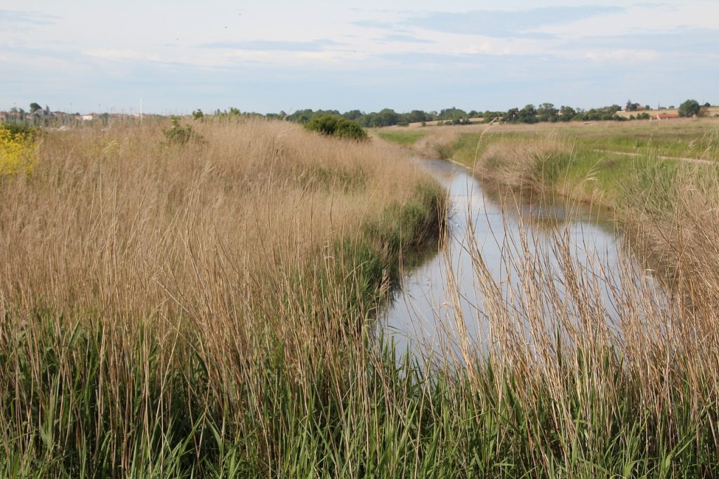 Marais Poitevin