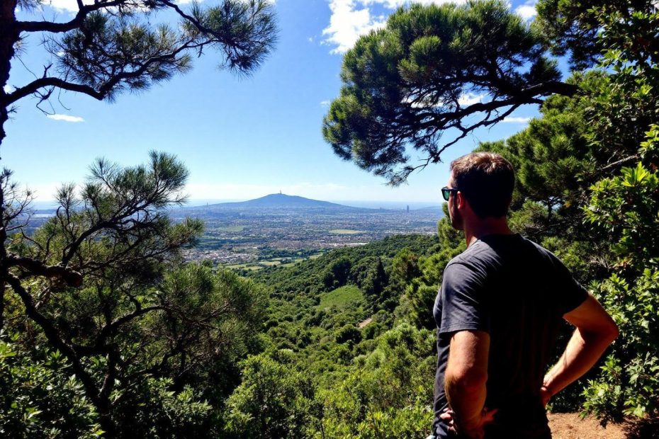 Vue sur une ville lointaine depuis un point de vue boisé