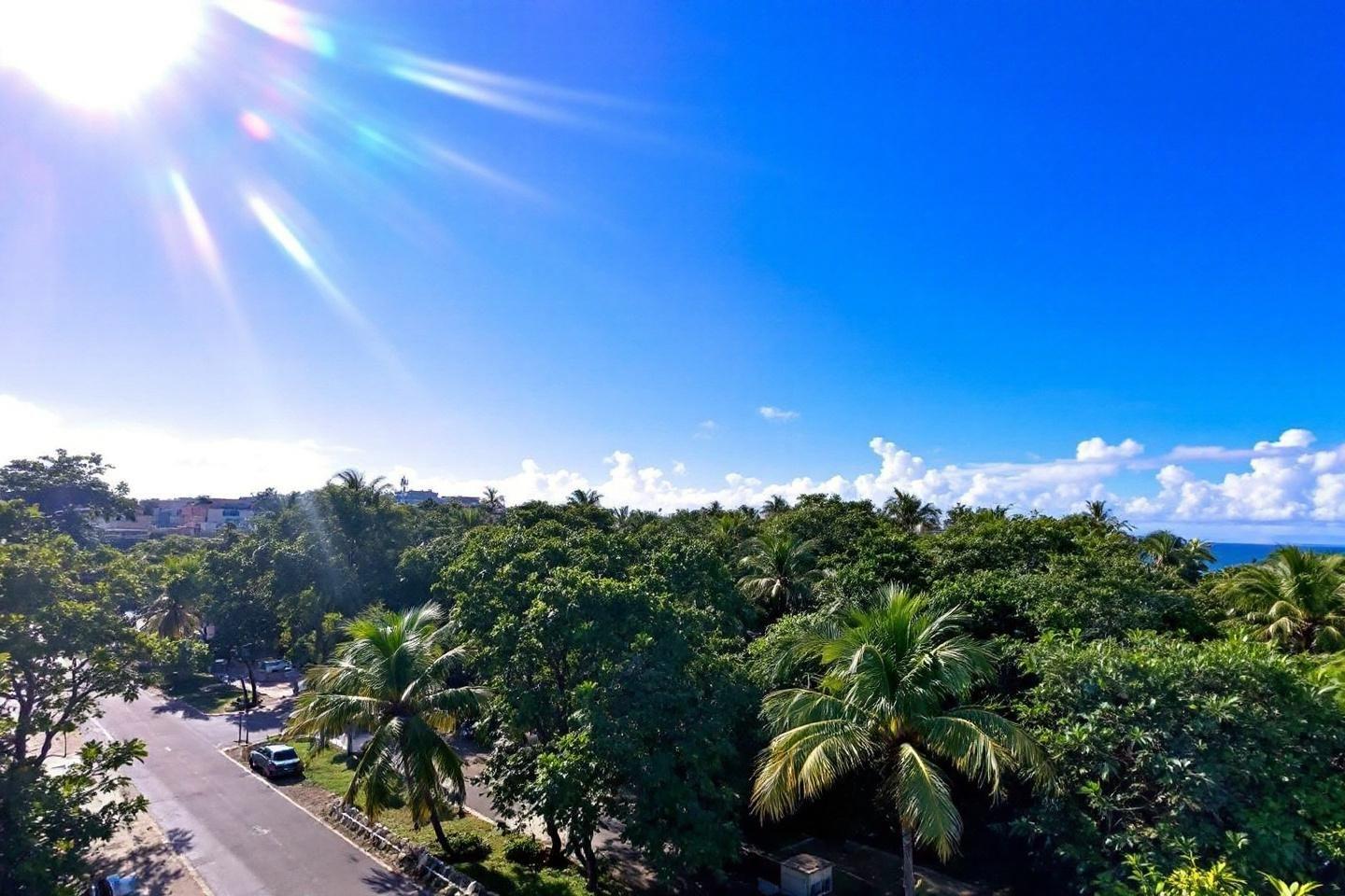 Route bordée de palmiers sous un ciel bleu ensoleillé