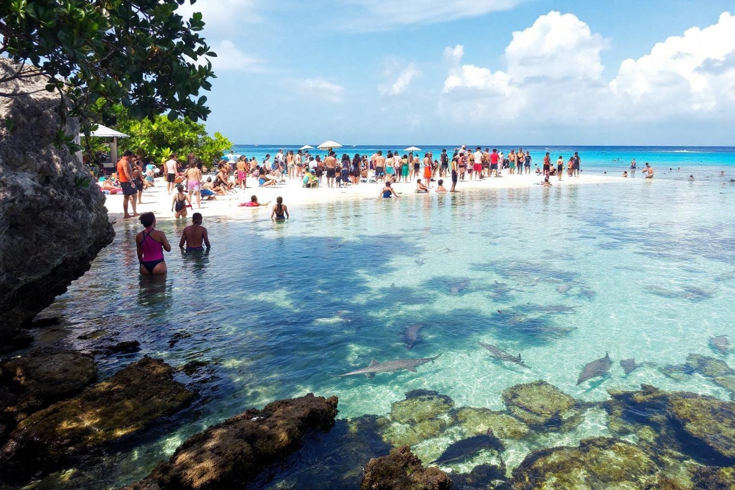 Plage bondée avec requins et rochers dans une eau turquoise